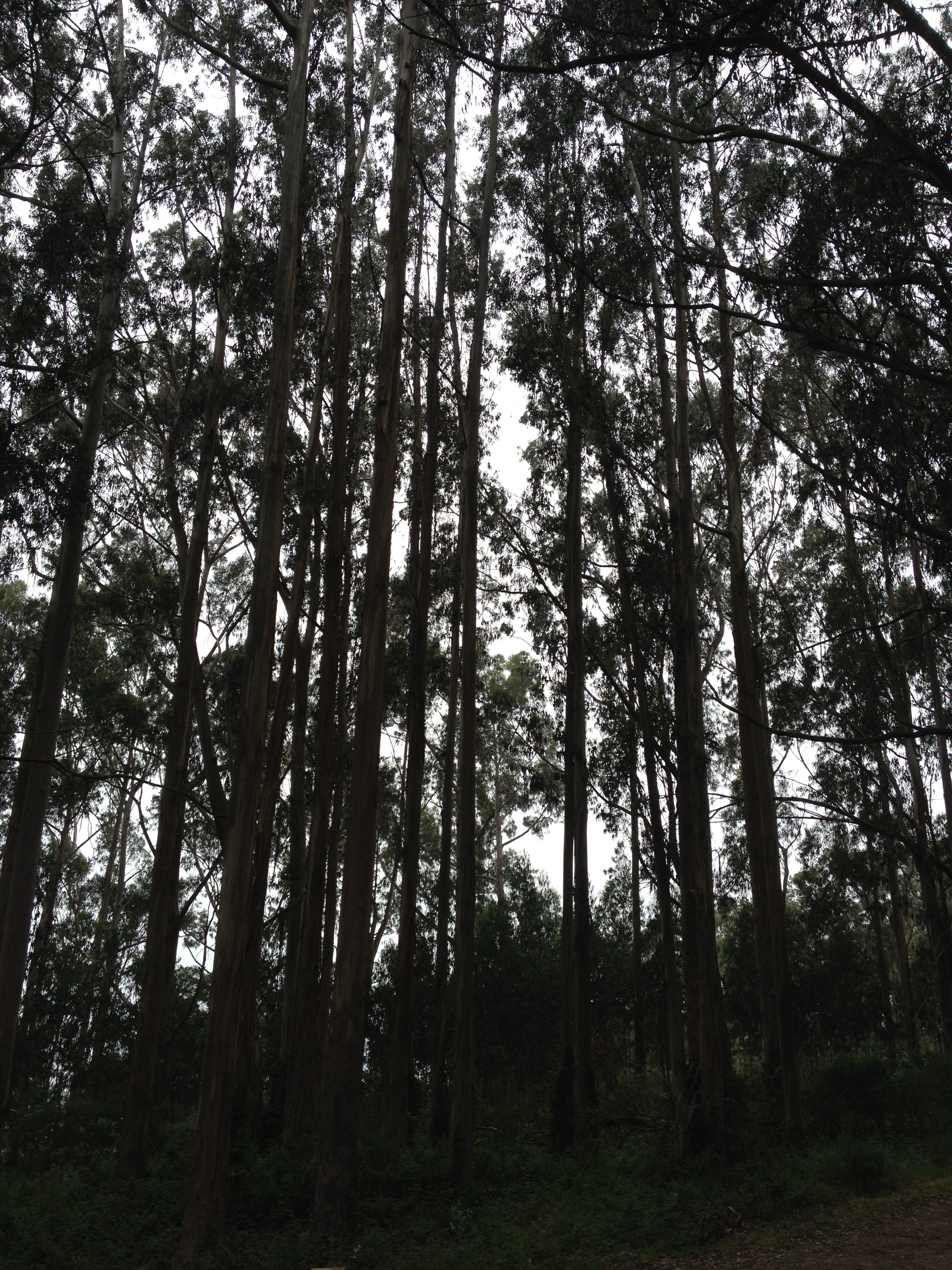 photo-2.jpg