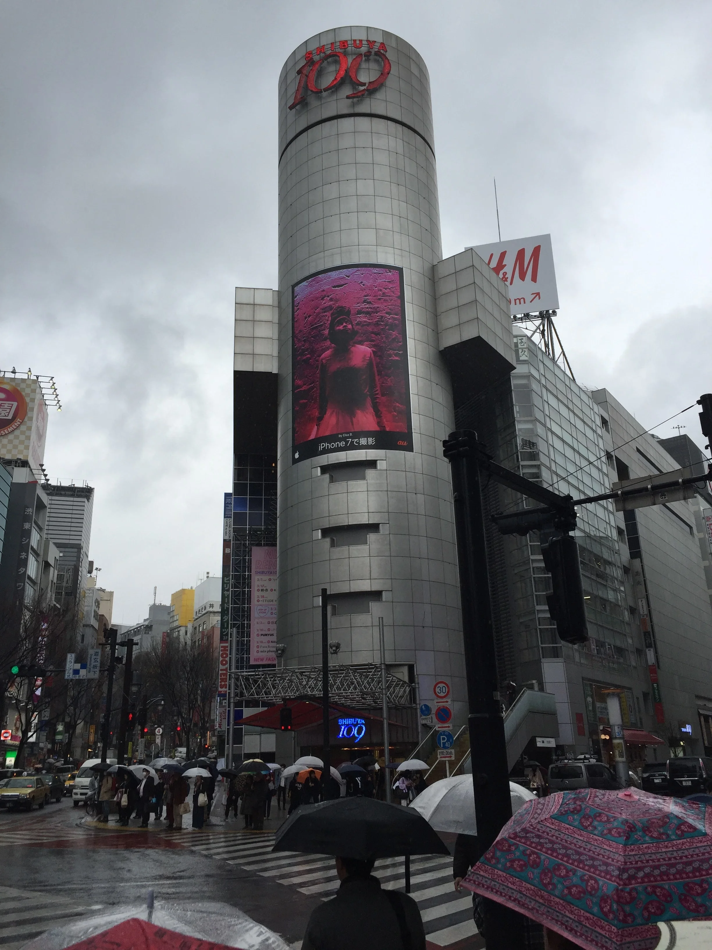 IMG_8870.jpg