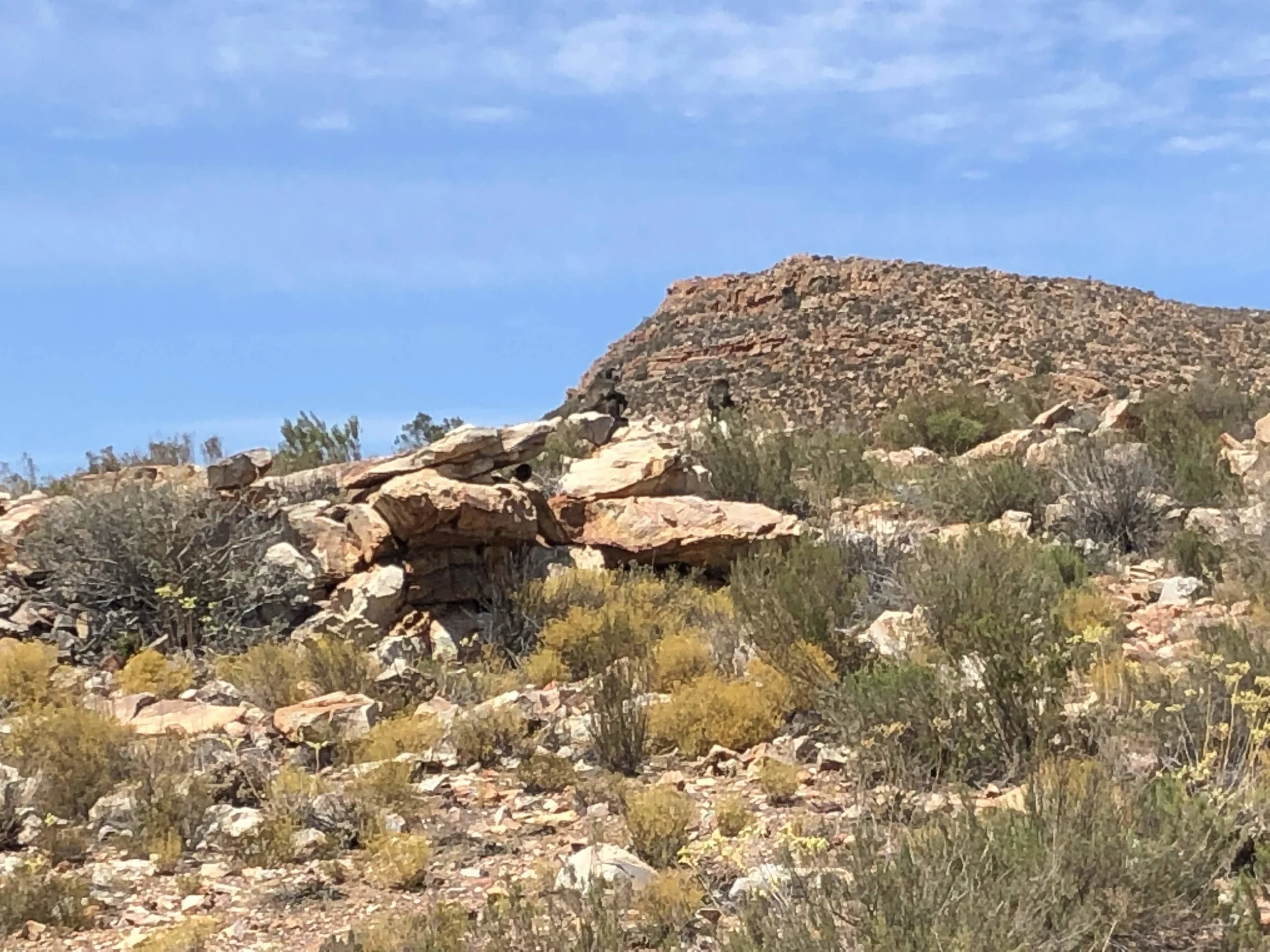 IMG_1311.jpg
