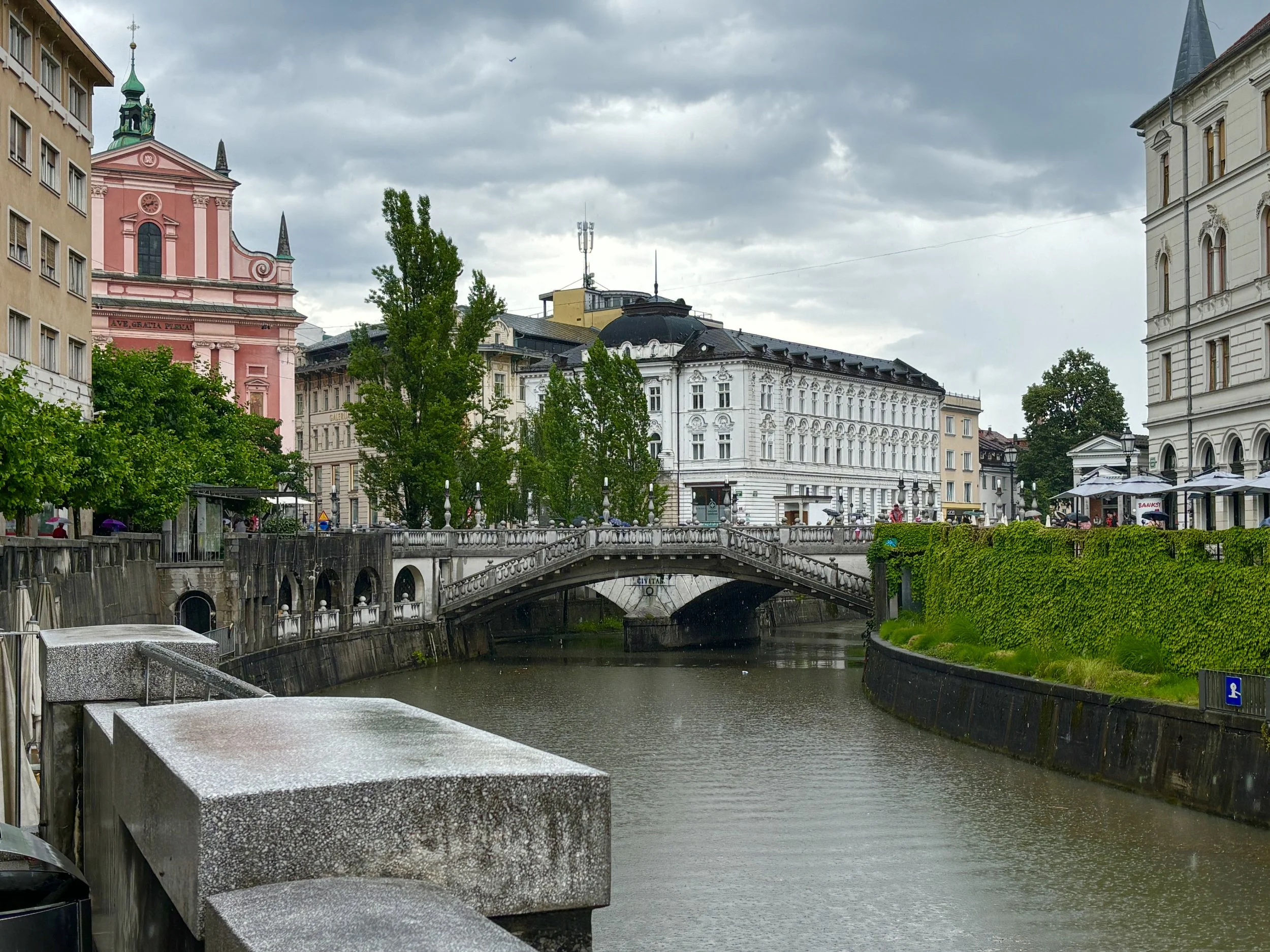 IMG_7764.JPG