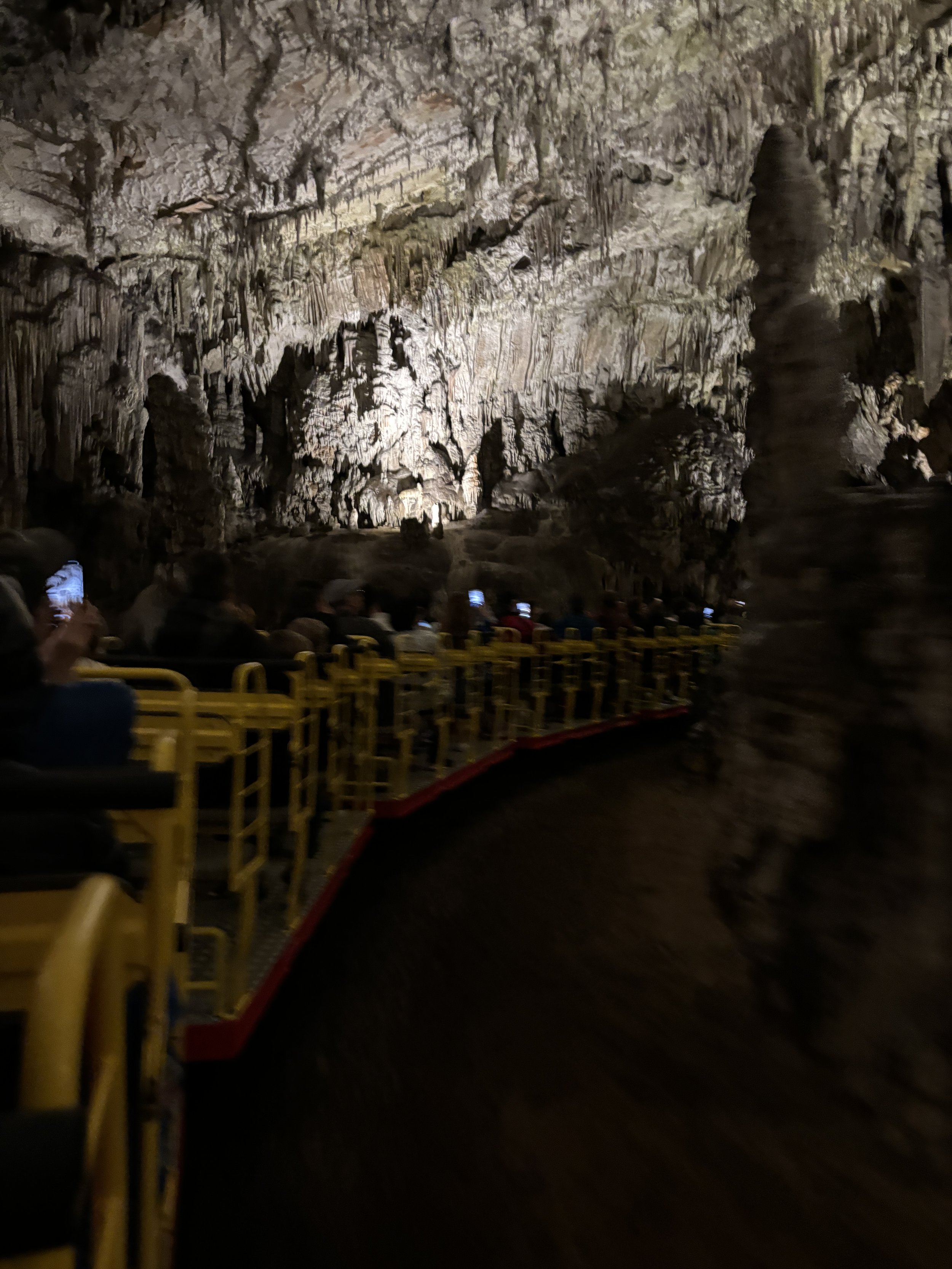 IMG_7786.JPG
