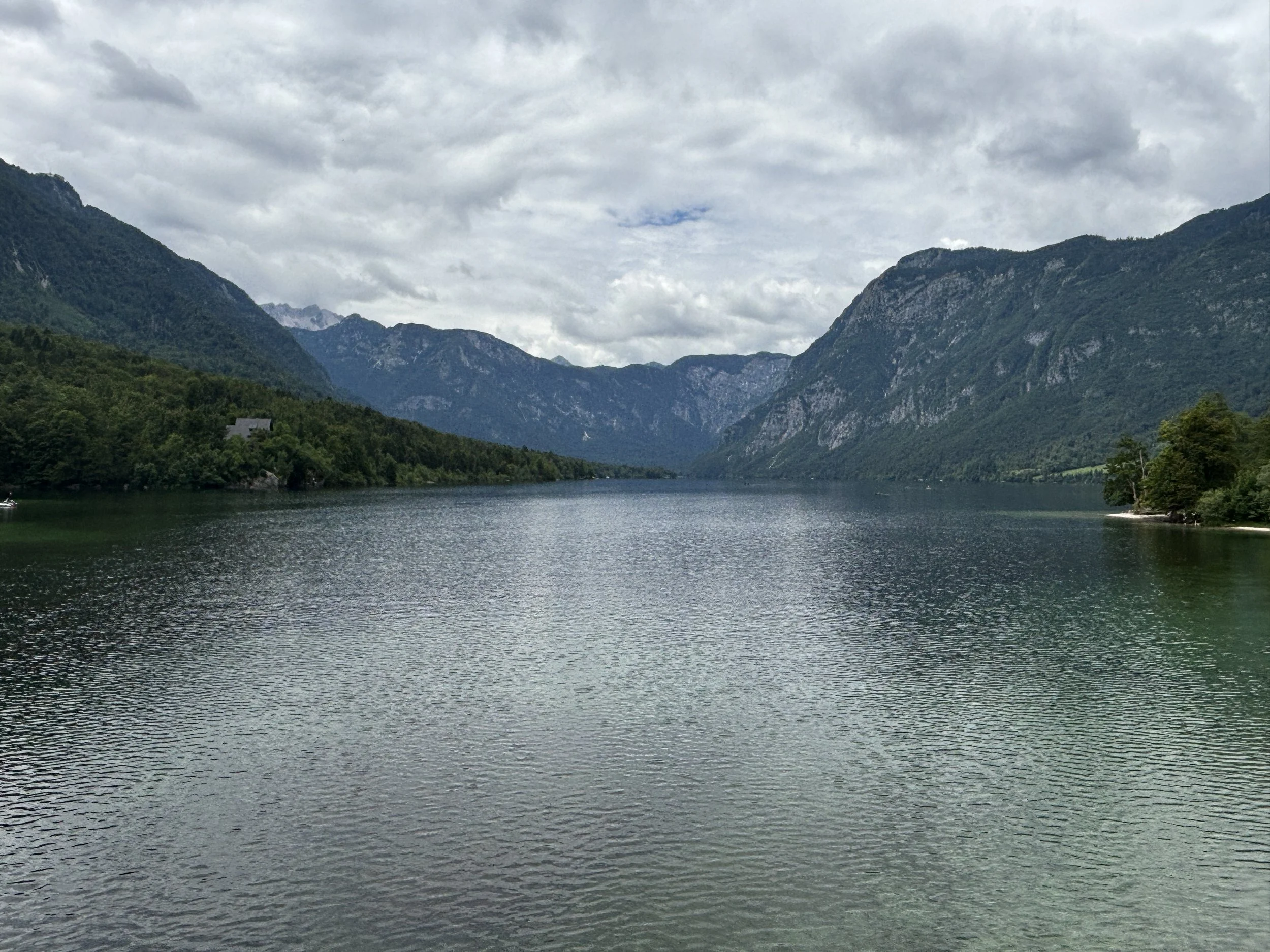 IMG_7964.JPG