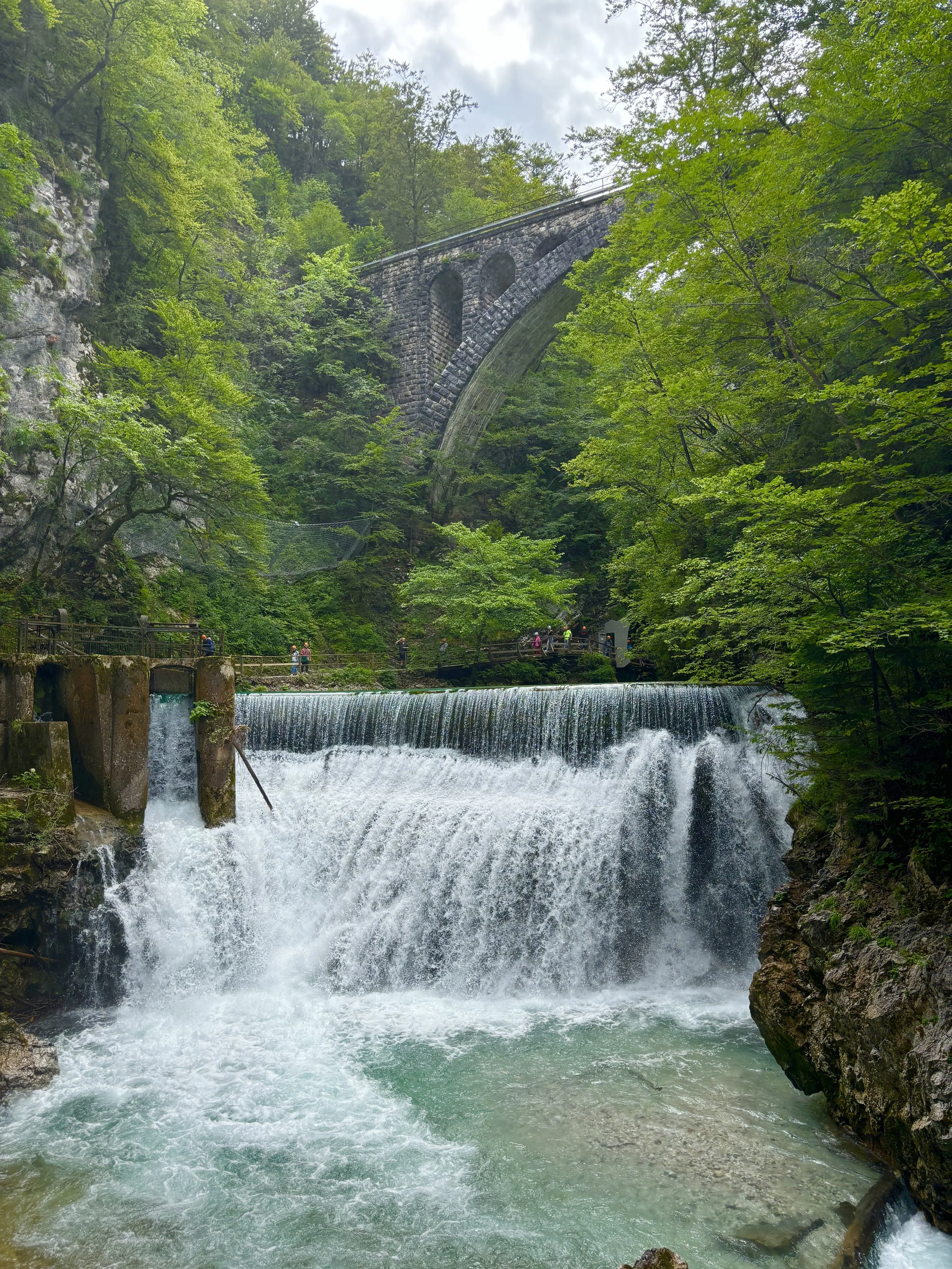 IMG_7989.JPG