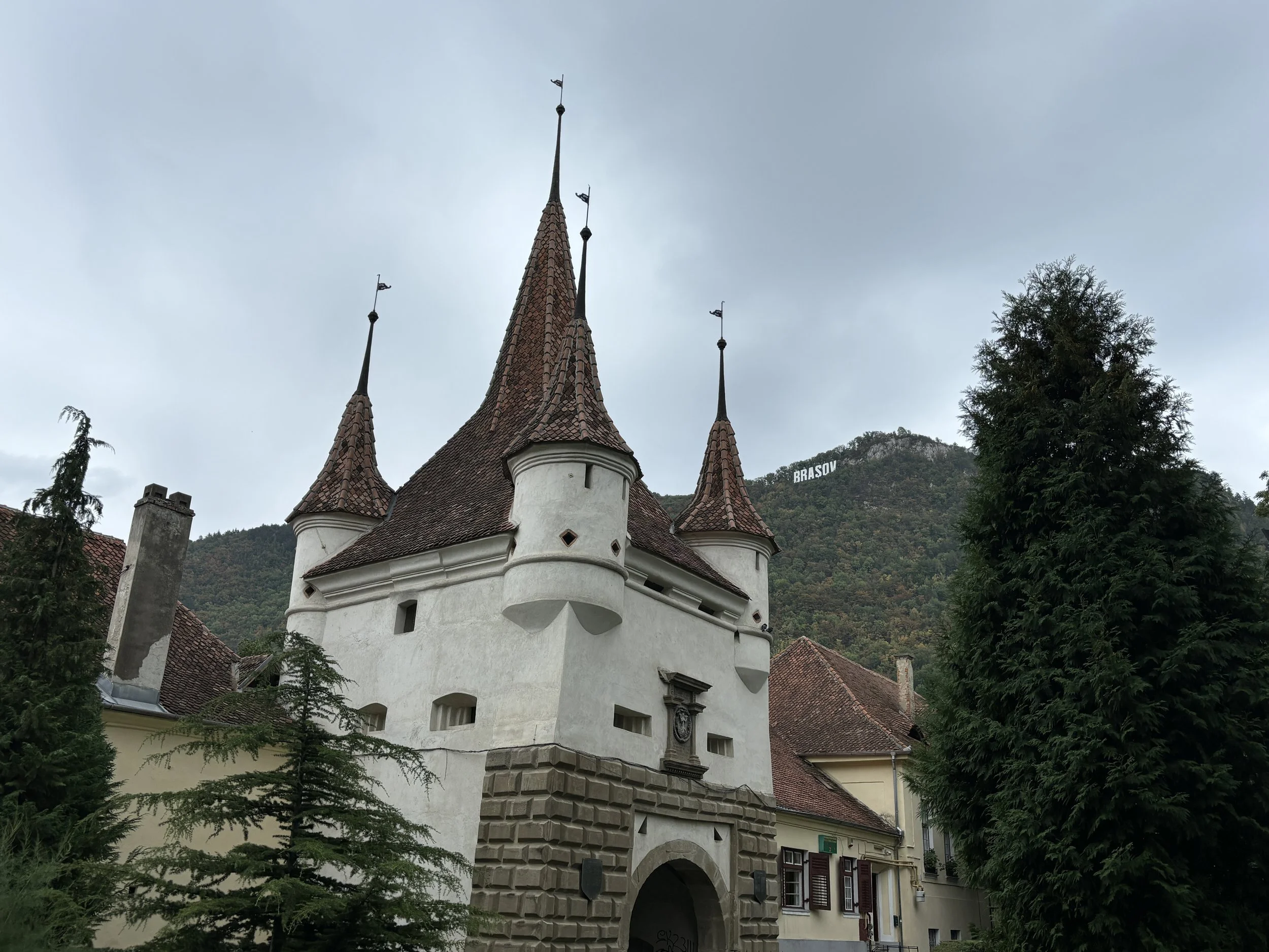 IMG_8444.JPG