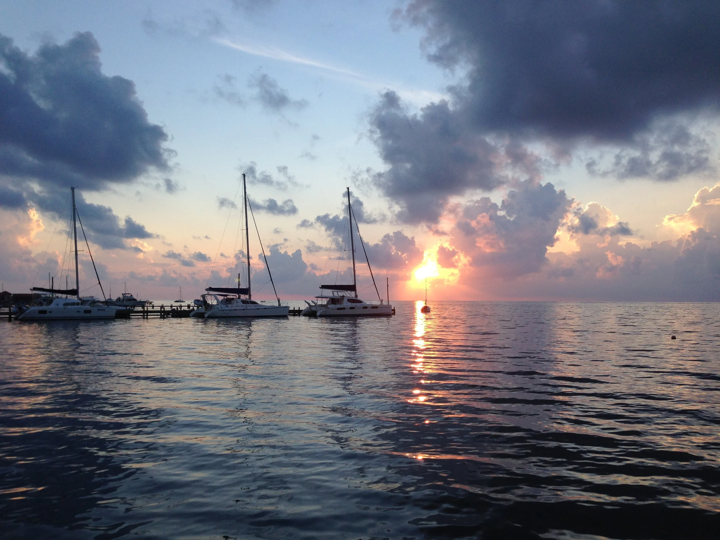 IMG_4795.JPG