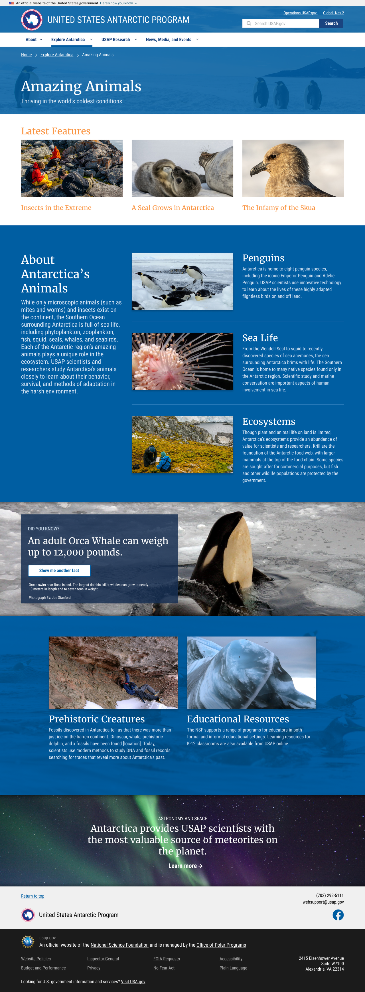 Final design of a topic page.