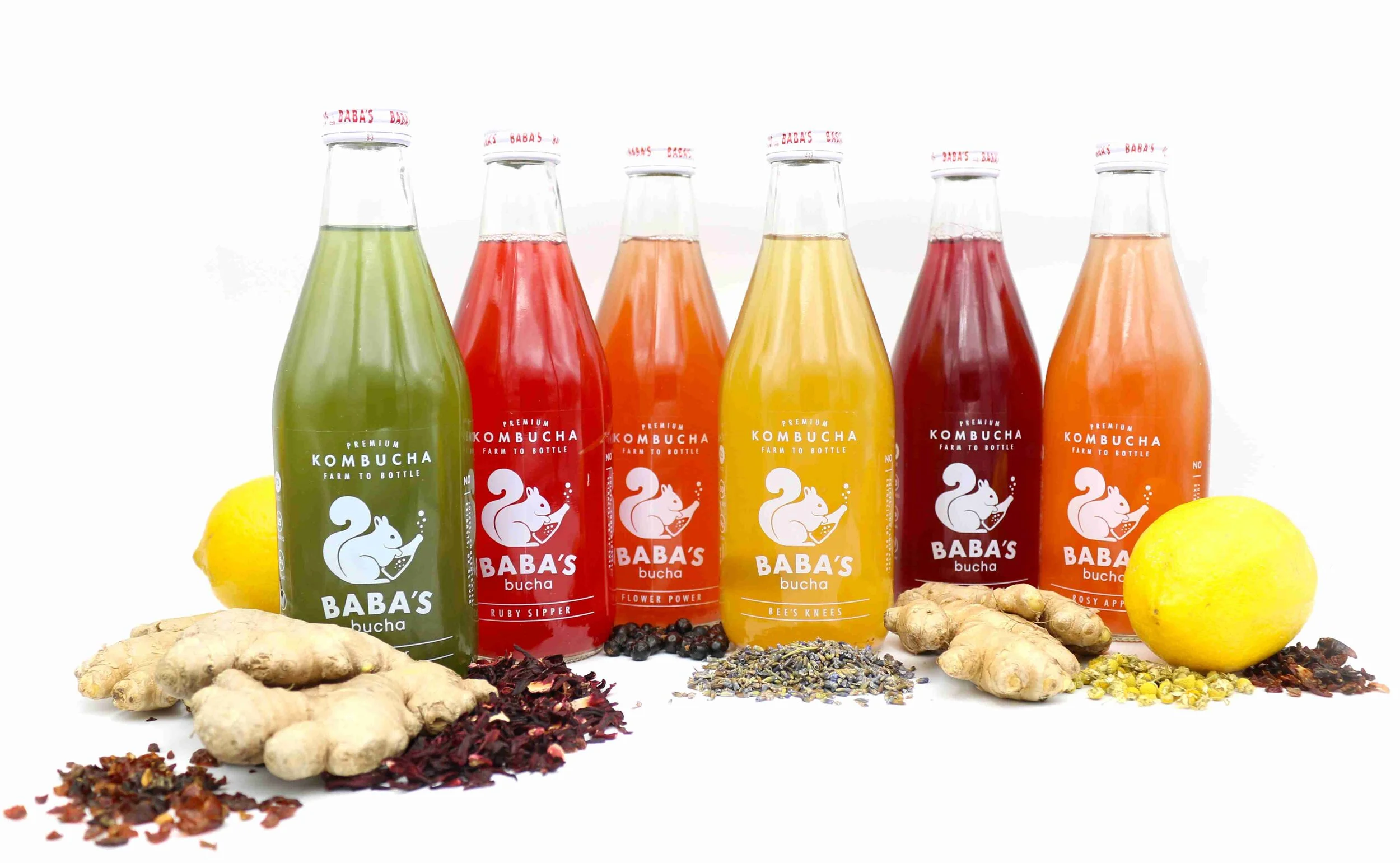 Baba's Brew Kombucha Philadelphia PA