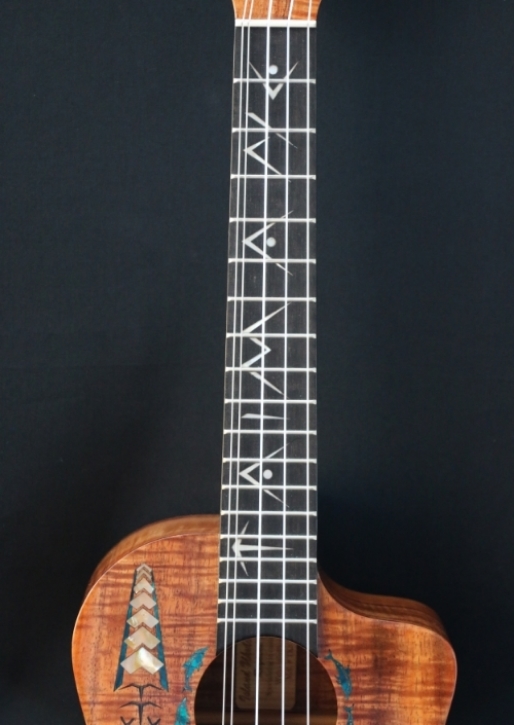 Gallery — Island Ukulele Of Kauai