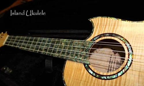cutaway_maple.jpg