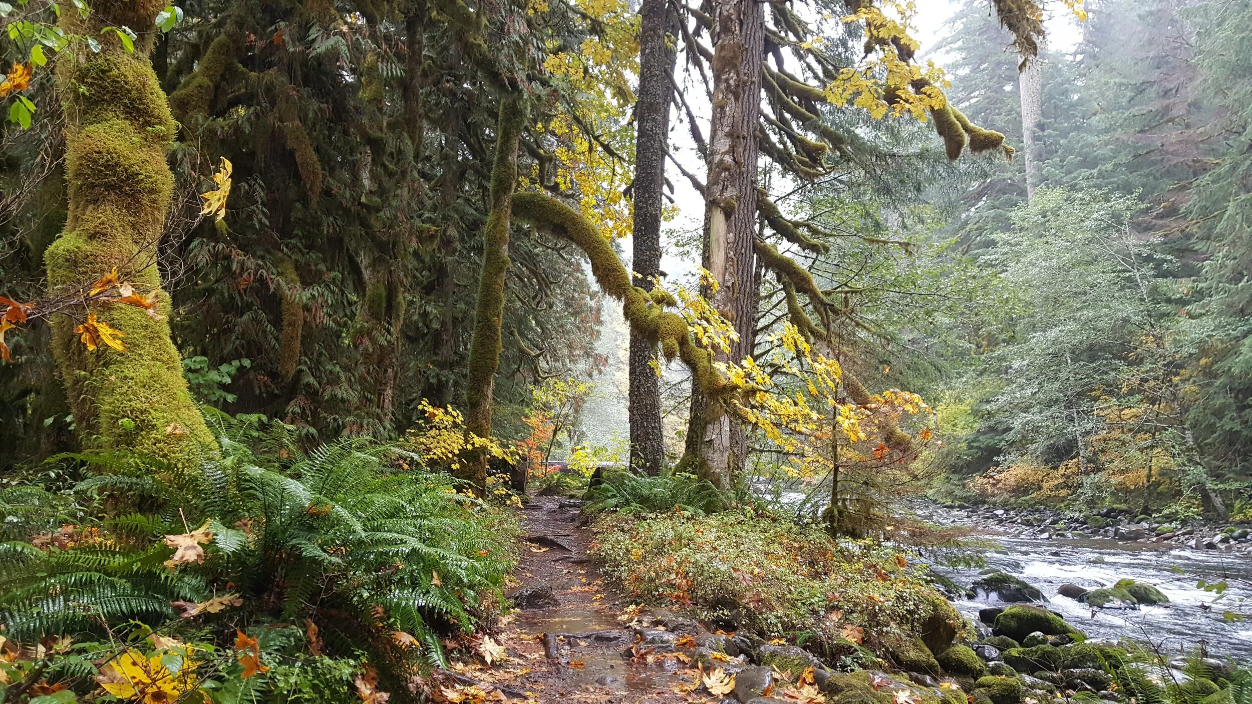 riverside in the fall.jpg