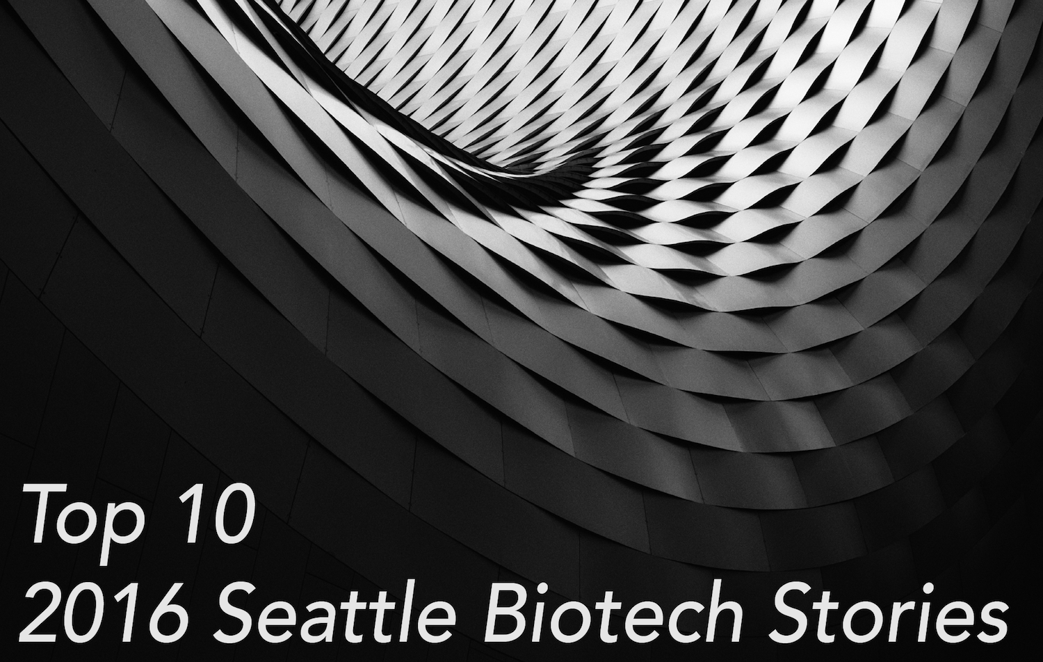 top 10 blog image copy 2.png
