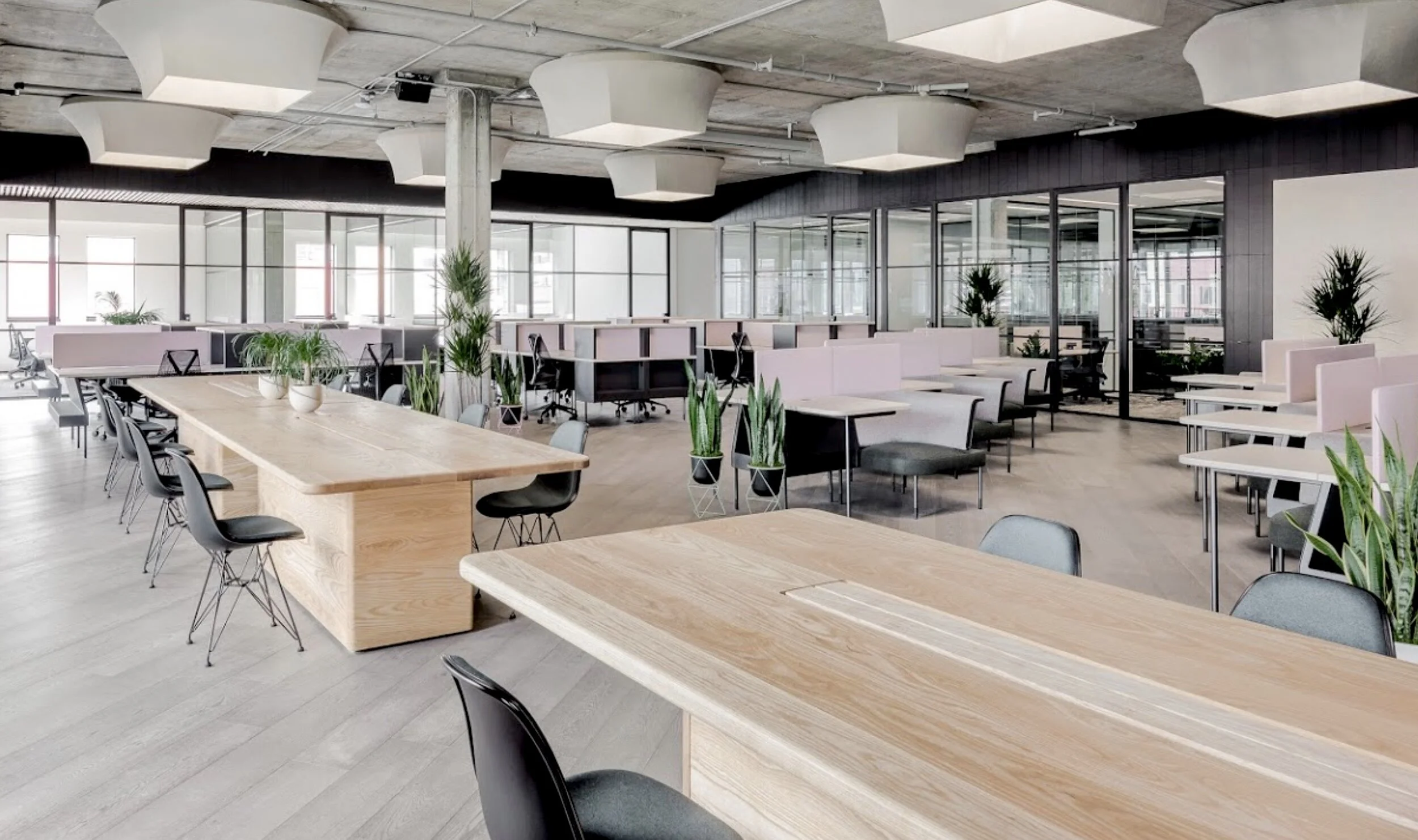 Screen Shot 2020-01-23 at 4.00.52 PM.jpeg