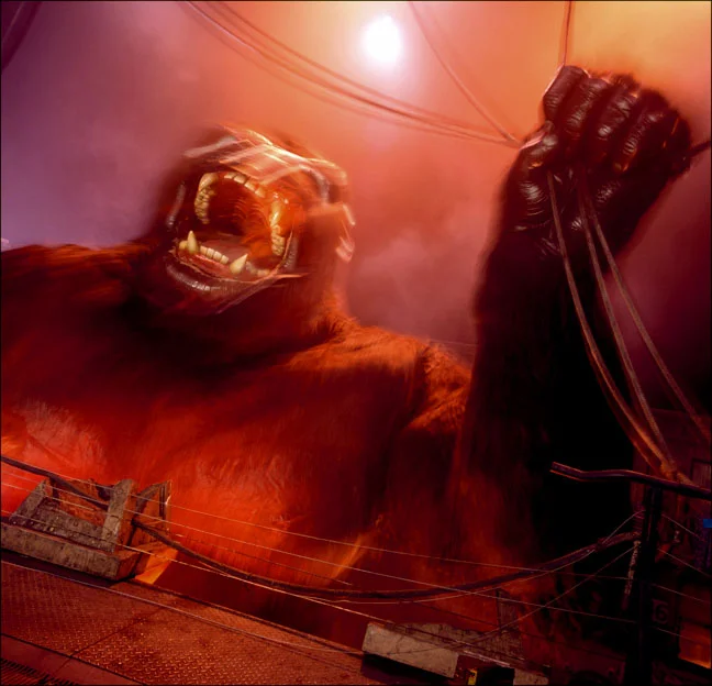 kong.jpg
