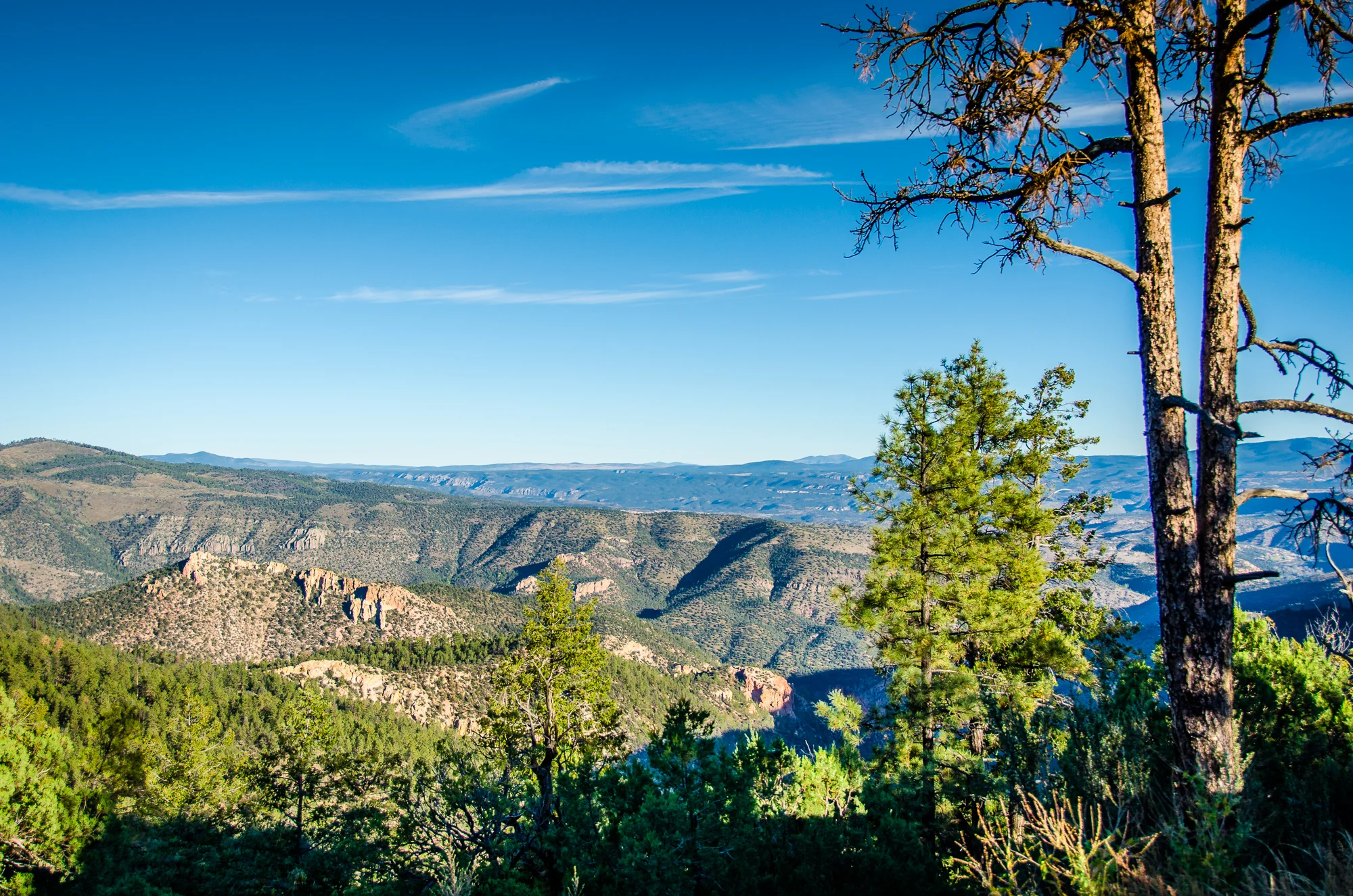 Pinos Altos_Landscape-2301.jpg