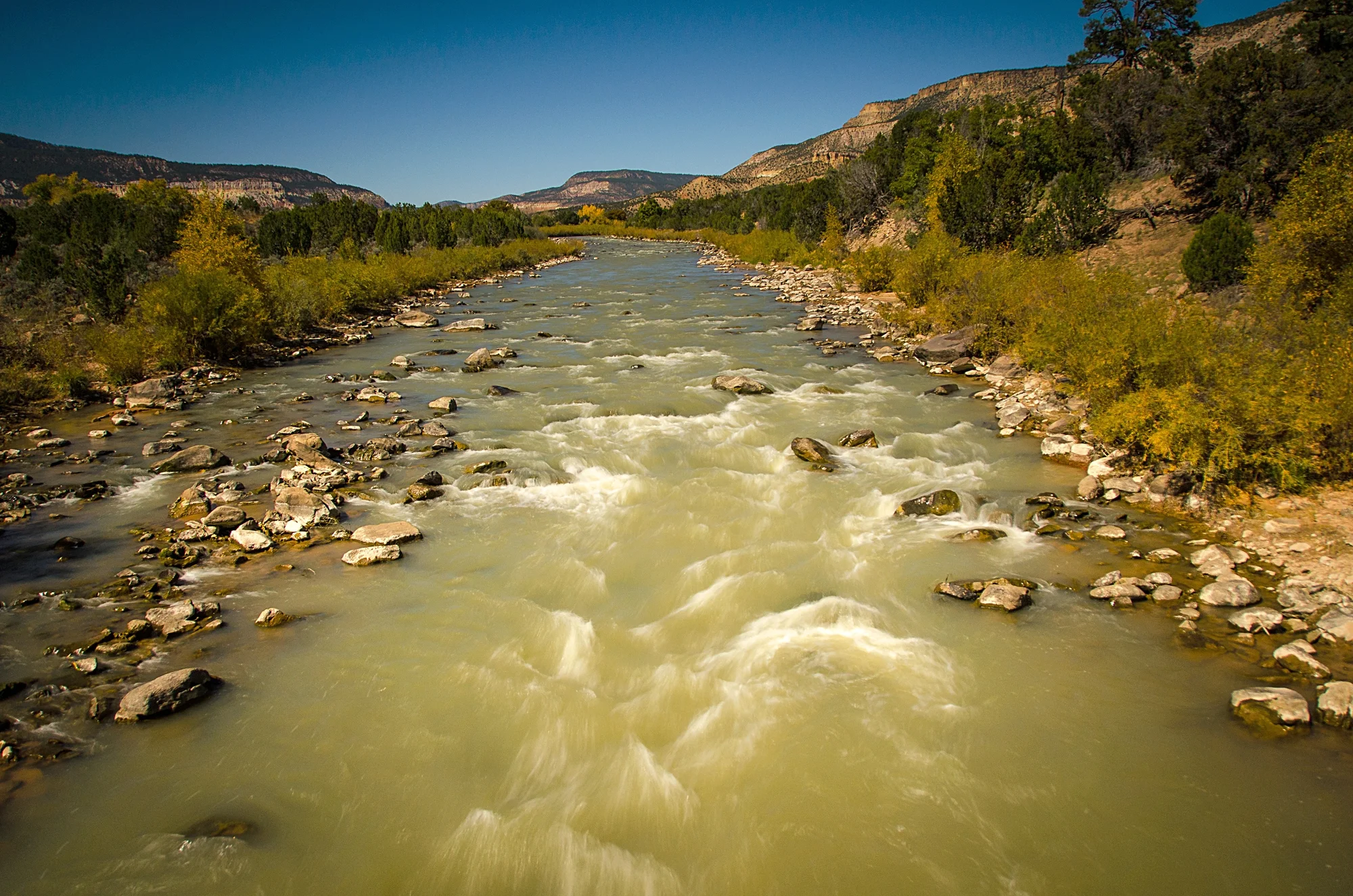 Rio Chama_Rio Chama Canyon-8232.jpg