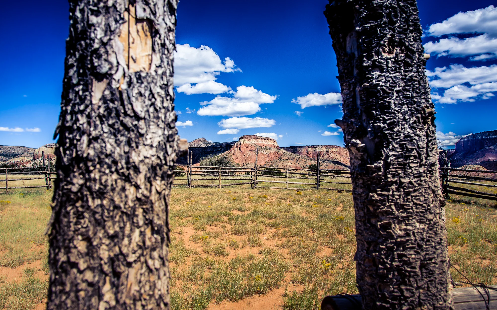Corral_Ghost Ranch-7626.jpg