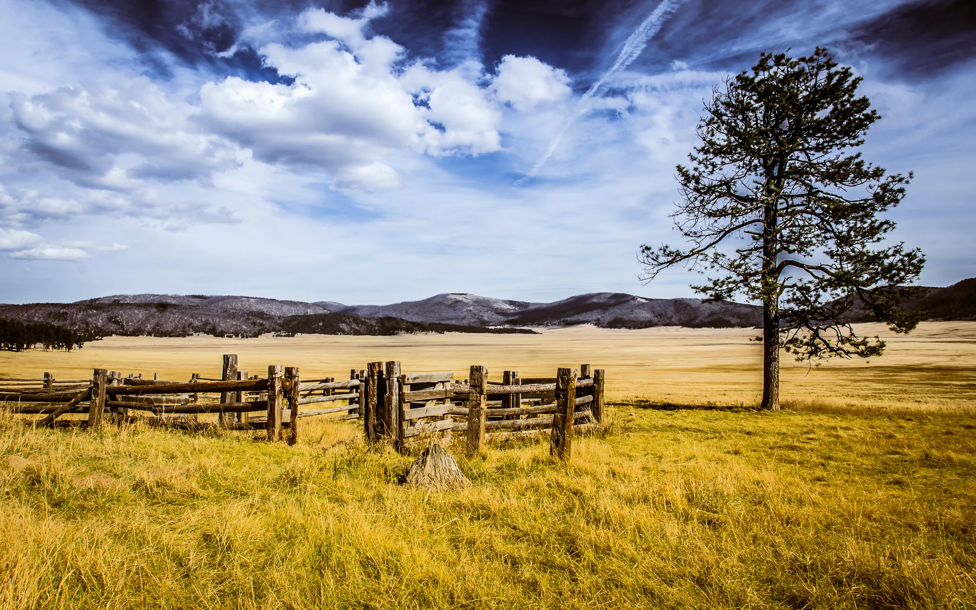 Corral_Valles Caldera-8857.jpg