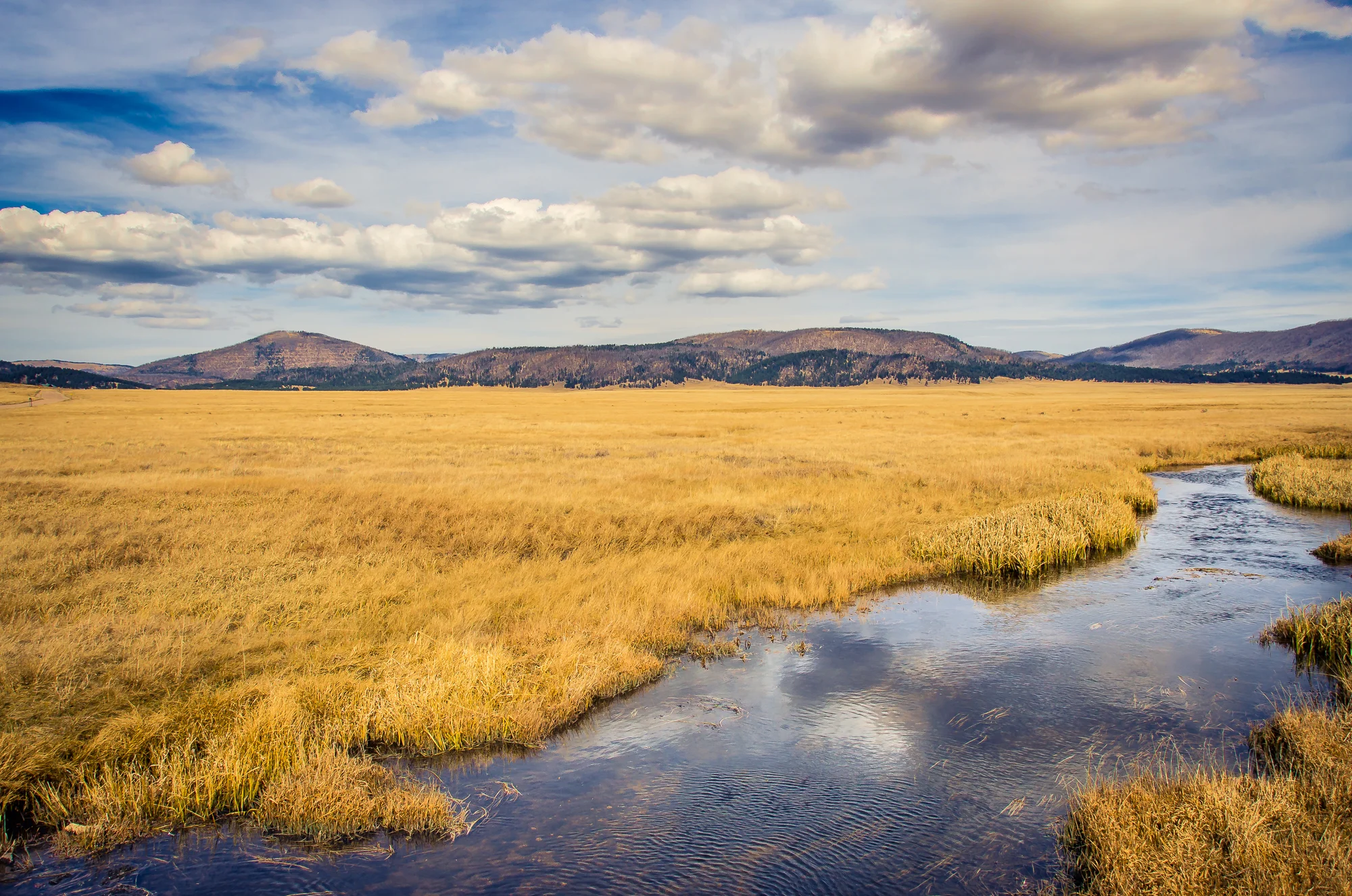 Jemez River_Valles Caldera-8835.jpg