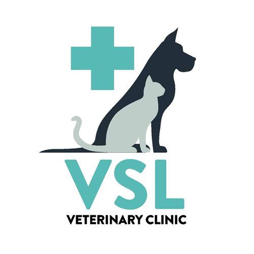 VSLVeterinaryClinic.jpg
