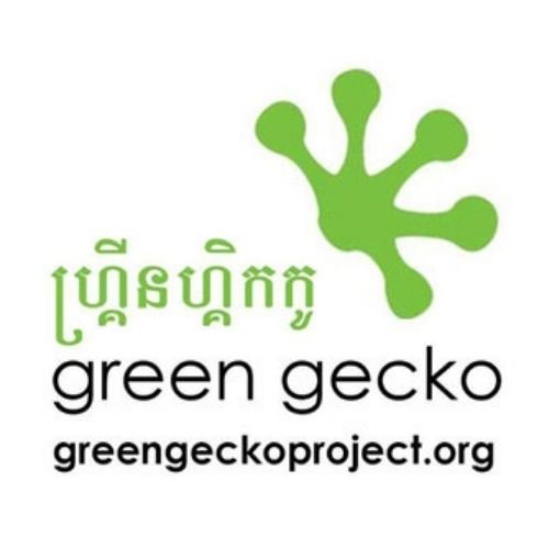 Green Gecko Project.jpg