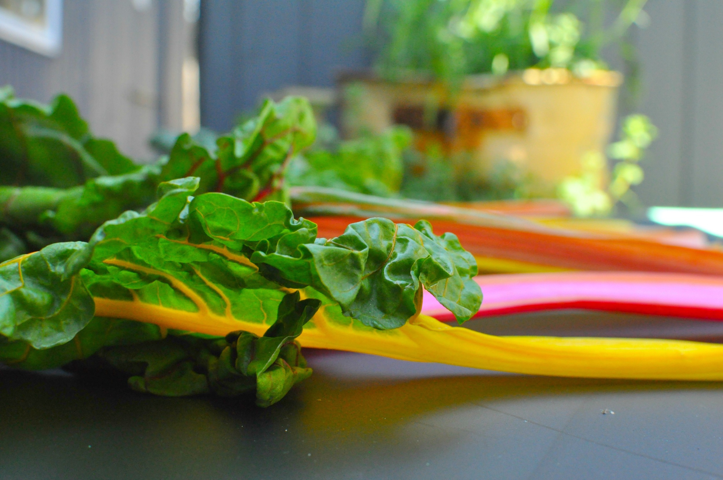 A QUICK RAINBOW CHARD PIE RECIPE 6 sheets filo pastry 1 bundle of rainbow chard, about 800 g 1 small onion, peeled and finely chopped 3 cloves of garlic, crushed (or to taste) 3 tbsp olive oil 4 tbsp pine nuts 2 tbsp currents (optional) 100 g Parmesan 2 lightly beaten eggs 100 g feta, crumbled Zest of a lemon 1/2 tsp cinnamon and 1/4 tsp icing sugar, for dusting (optional) 70 g melted butter METHOD Pre-heat the oven to 180 C. Brown the pine nuts in the oven until golden brown. If you are going to use currents in your pie, it helps to give them a little soak in boiling water for a few minutes then drain. Roughly chop your chard, stems and all. In a pan heat the oil and soften the onion and garlic, seasoning with salt and pepper. Add your chard and cook it down until it is just softened and wilted a little. Drain the currants if using them and add to the chard along with the pine nuts. Remove from the heat and add the Parmesan, feta, eggs and lemon zest and allow to cool. Grease a rectangle ceramic baking dish . Lay five sheets of filo pastry in the pan at angles, brushing them with butter as you go, making sure that some of sheets hang over the sides. Now fill the pastry with the chard mixture. Place the last piece of filo on top of the filling and fold the overhanging pieces of pastry over the filling. Brush again with the melted butter and bake for 20-30 mins or until the pastry is golden. Serve straight from the baking dish dusted with a small amount of cinnamon and icing sugar if desired.