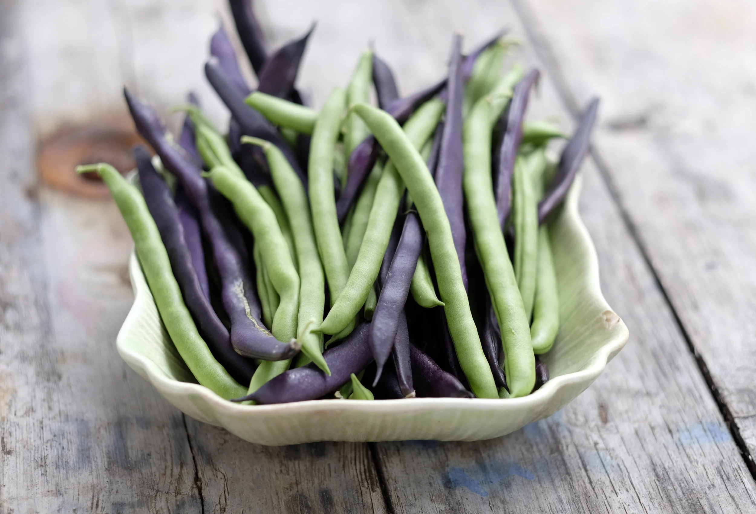 Beautiful beans, grown at the Anglesea Community Market.