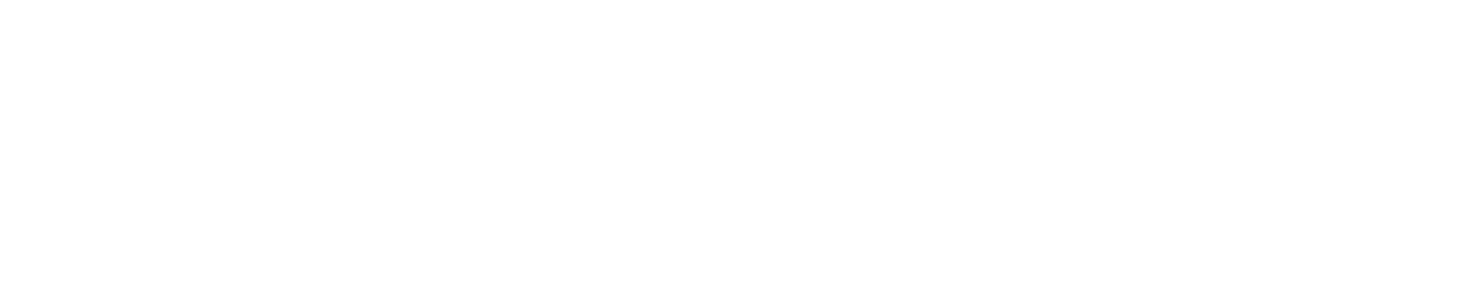 Wordmark_W copy.png