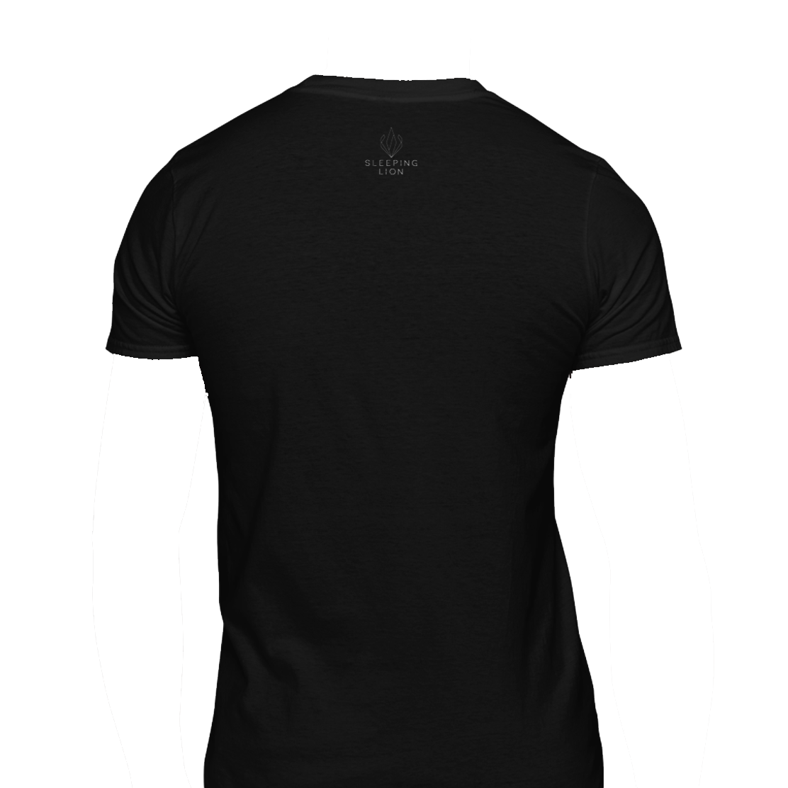 DLM Shirt Back.png