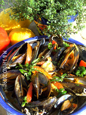 MUSSELS WITH SAMBAL & HARISSA - Cookbook: Travels with a One-Handed Cook; Jacqui Hynd