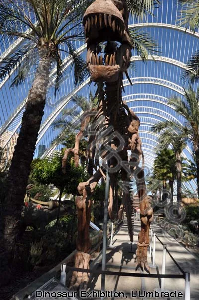 City of Arts and Sciences, Valencia, Spain
