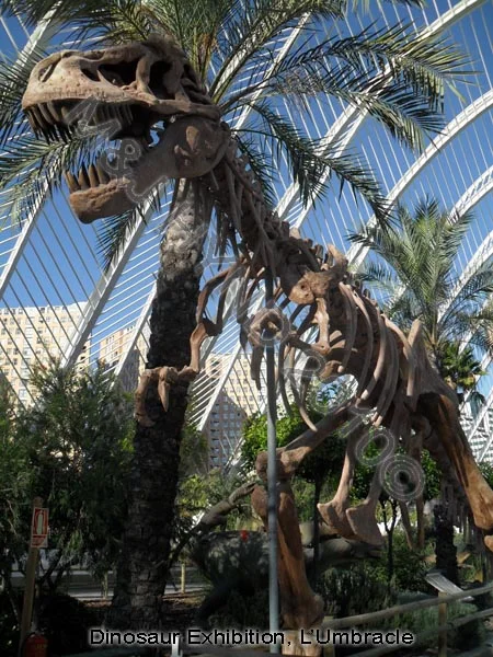 City of Arts and Sciences, Valencia, Spain