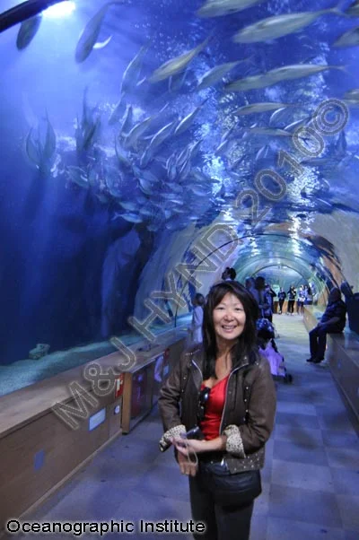 L'Oceanografic, Valencia, Spain