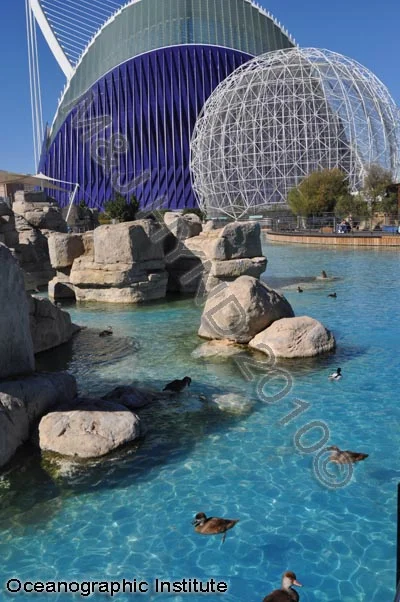 L'Oceanografic, Valencia, Spain