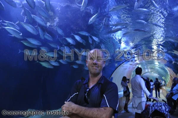 L'Oceanografic, Valencia, Spain