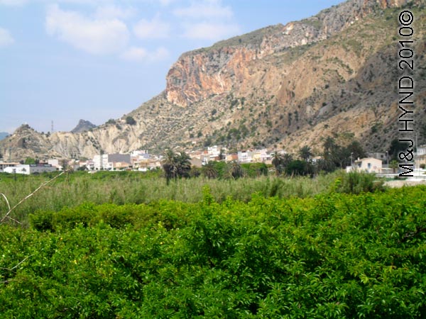 spain Archena Murcia Spa Resort town countryside orange groves, olive groves, craggy mountain