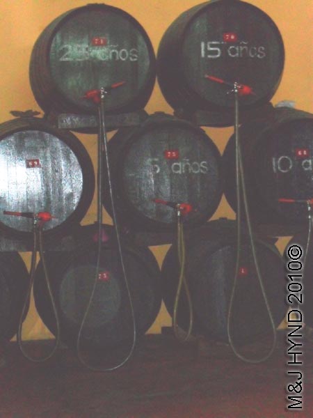 spain Jumilla, Murcia, wine route Bodegas Silvano Garcia wine tour, aging wine in oak barrels