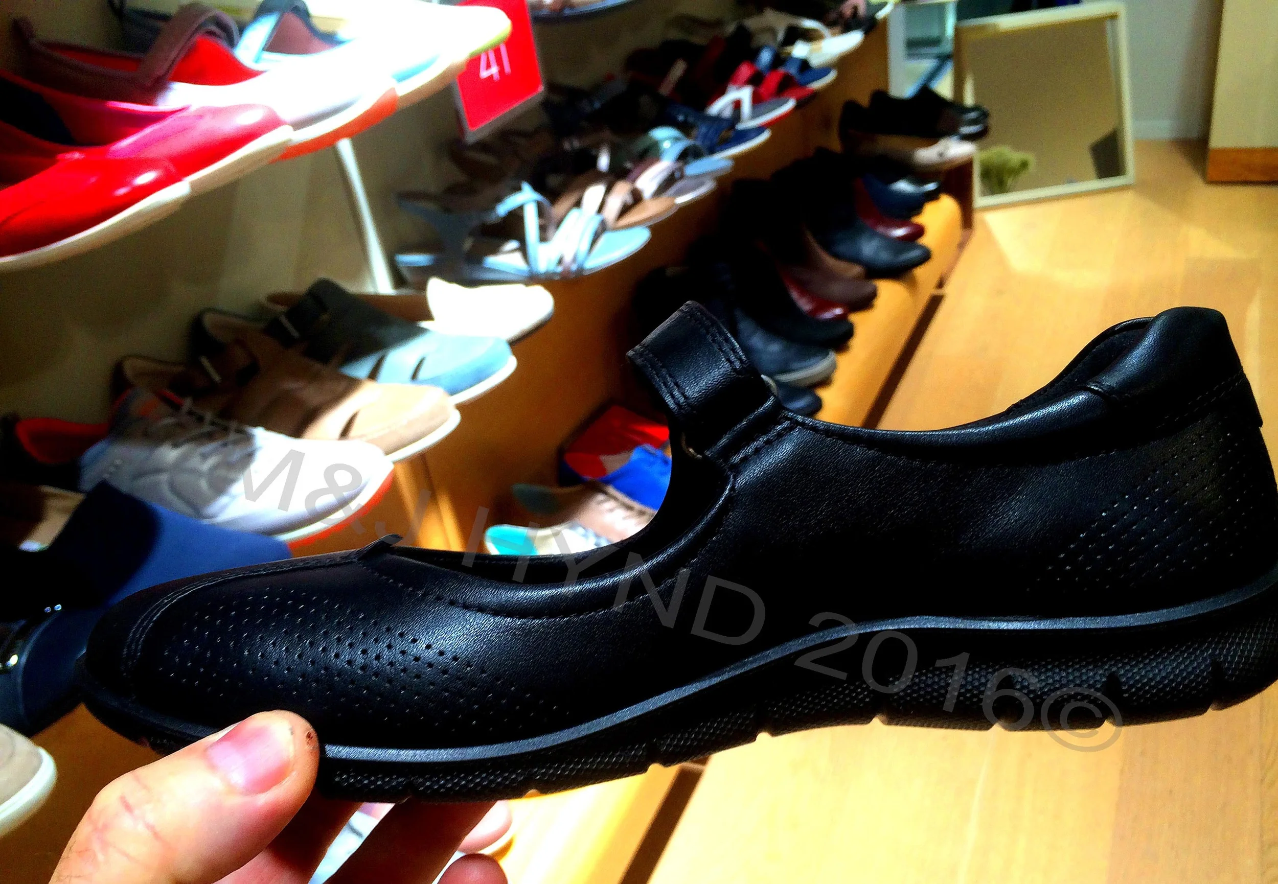 IMG_1472 - Copyright.JPG