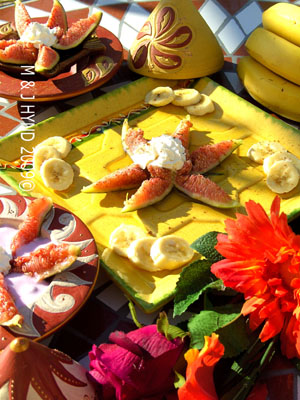 "EASY FIG FABULOSA", P95; TRAVELS WITH A ONE-HANDED COOK