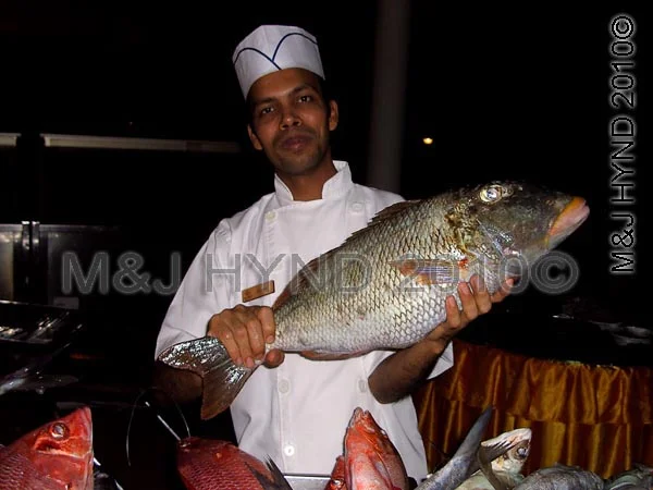get a fisherman to be your chef too: Sun Island, Maldives