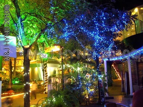 cobalt twinklies! KL, Malaysia