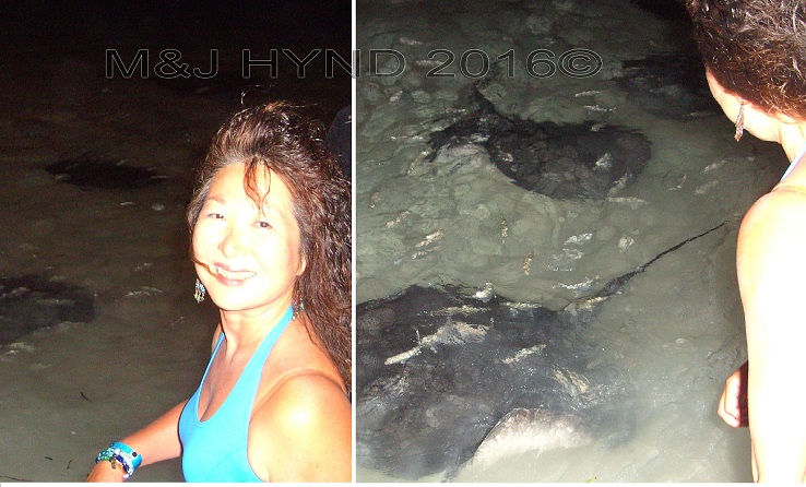 feeding stingrays at dusk, Sun Island, Maldives