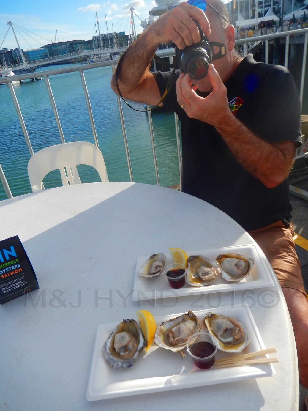 Oysters, Seafood Festival, Auckland, NZ