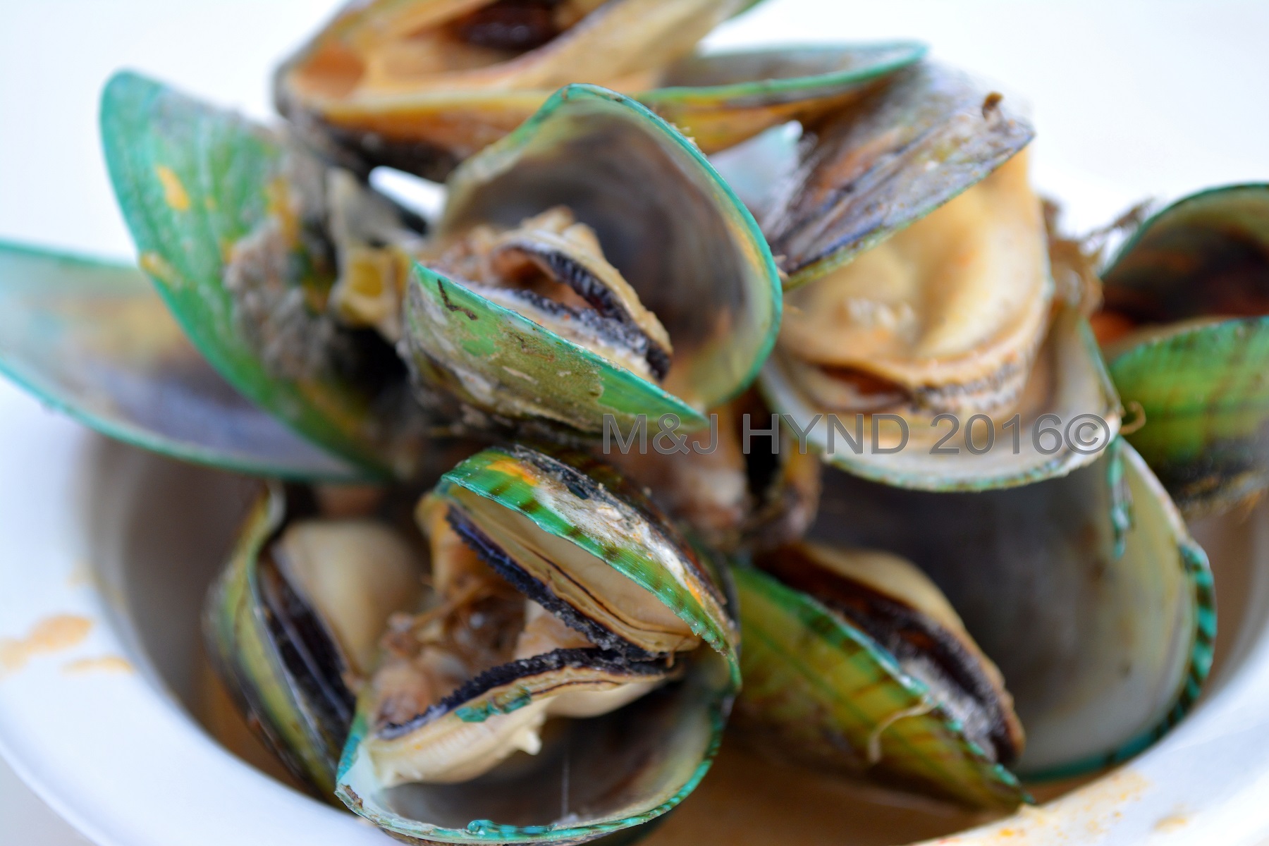 Steamed mussels, Seafood Festival, Auckland, NZ