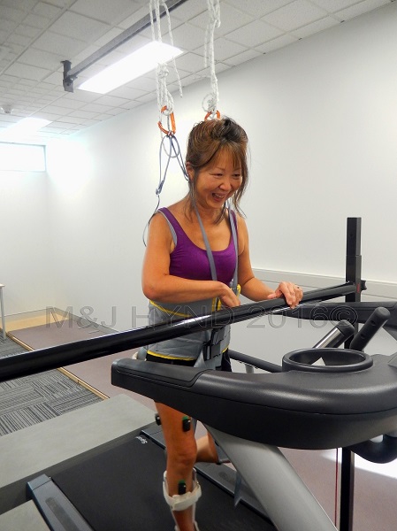 treadmill with harness