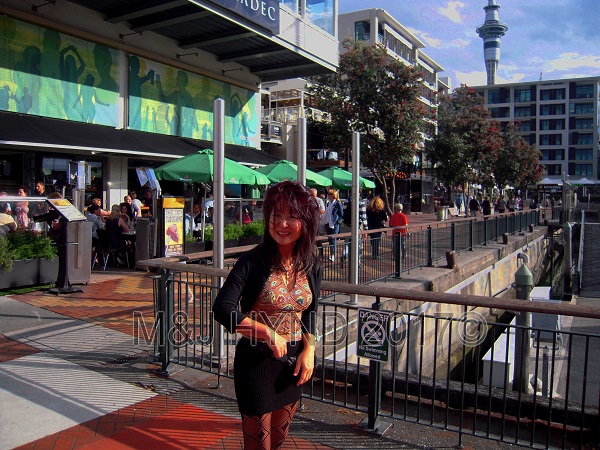 Viaduct Harbour restaurants ; SkyTower in the background, Auckland, NZ