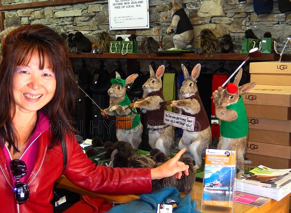 Stuffed rabbits, gift shop, Queenstown, NZ