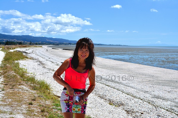 shelly beach, low tide, Miranda, NZ