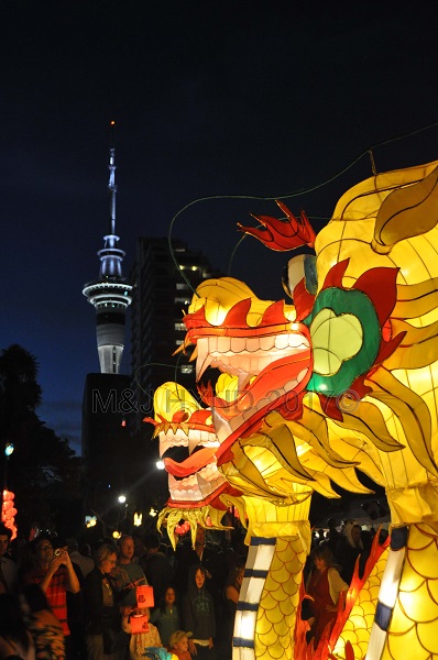 Lantern Festival, Dragon, SkyTower, Albert Park, Auckland, NZ