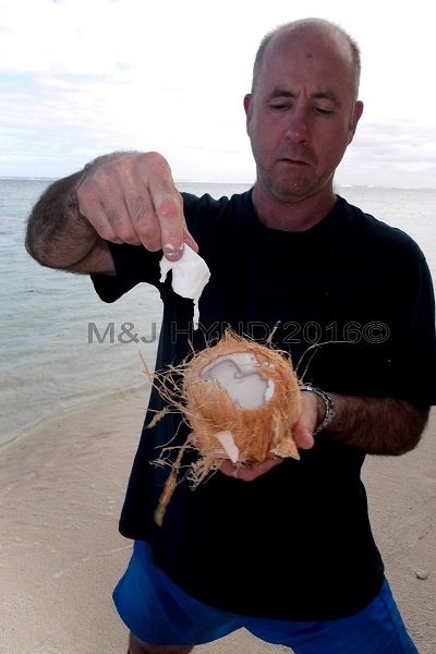 fresh coconut drink, Vaimaanga, Rarotonga, Cook Islands