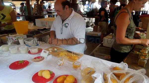 locally made mozzarella at Farmers Market, Matakana, NZ